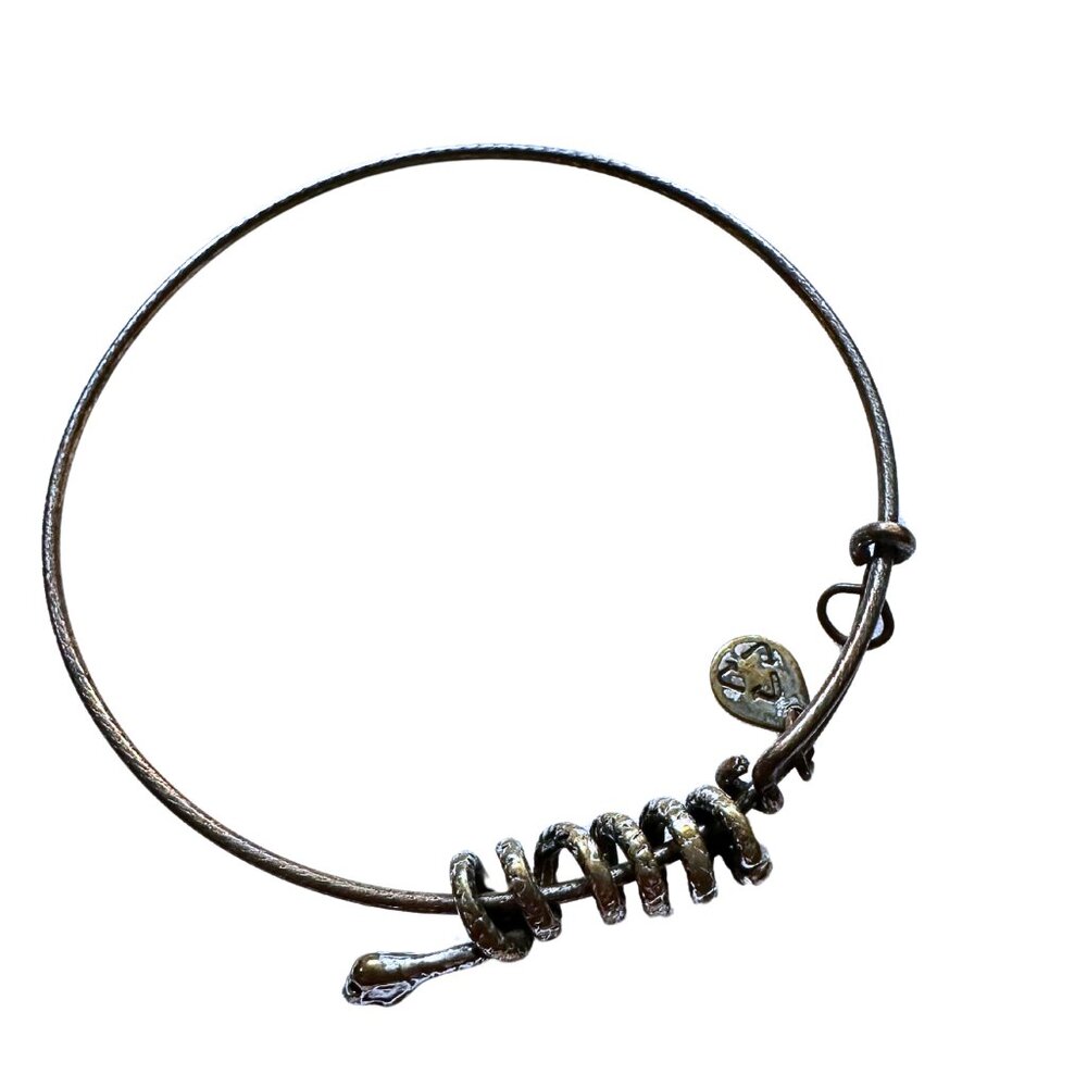 Roots of Elegance: Alex and Ani Coiled Charm Bracelet